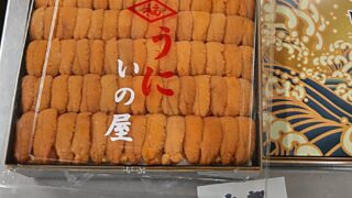 🐚本日の板ウニ情報🐚